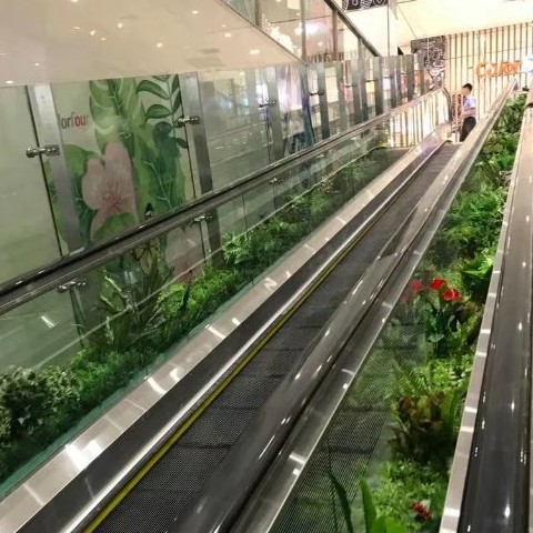 展会绿植批发案例